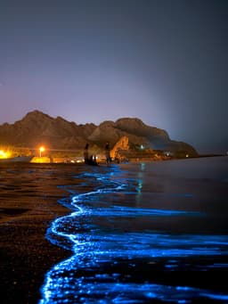 Al Bustan mountains and sea